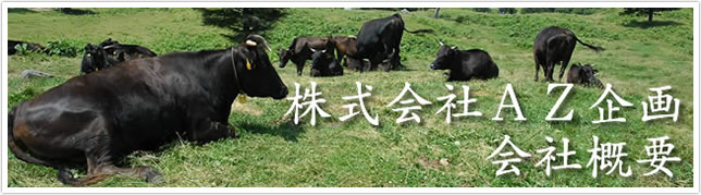 株式会社AZ 会社概要